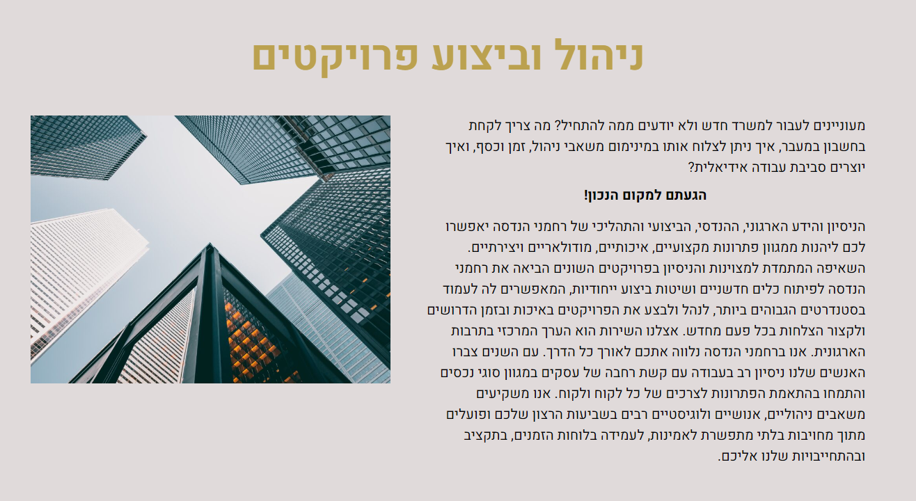 ניהול וביצוע פרוייקטים